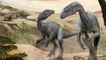 Un fossile de dinosaure réécrit l'histoire de la façon dont les sauropodes avaient un long cou