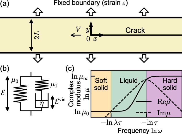 Un modèle mathématique révèle pourquoi les fissures s'accentuent lors d'une fracture rapide du caoutchouc