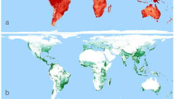 Un outil révèle comment votre dîner affecte le risque d'extinction de 30 875 espèces d'animaux terrestres