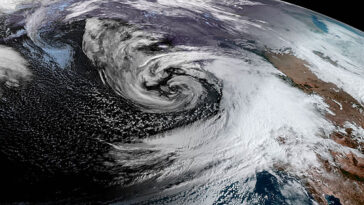 Un pas vers la modélisation IA de l’ensemble du système Terre