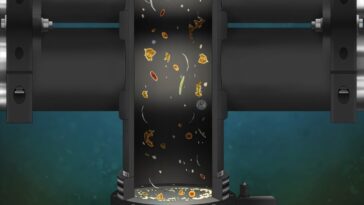 Un robot sous-marin révèle en temps réel le stockage du carbone dans les océans