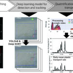 Un système basé sur l'IA détecte et suit automatiquement les plastiques des rivières