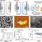 Un système électrochimique convertit le composé végétal en deux produits précieux à la fois Un système électrochimique convertit le composé végétal en deux produits précieux à la fois