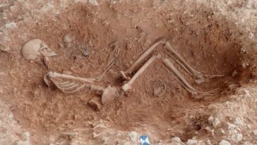 Un « test de grossesse » sur les squelettes pourrait aider à révéler d'anciennes mères