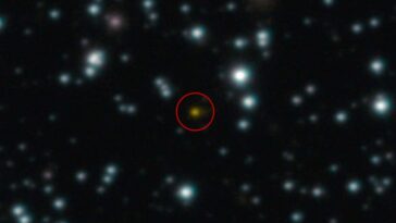 Un trou noir est tombé dans une étoile – puis a mangé à nouveau