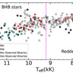 Une équipe découvre la fraction binaire intrinsèque des étoiles bleues à branches horizontales
