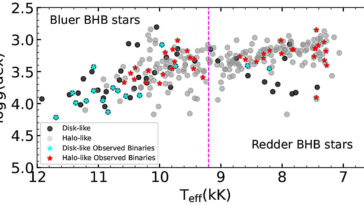 Une équipe découvre la fraction binaire intrinsèque des étoiles bleues à branches horizontales
