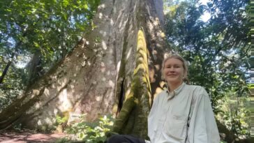 Une étude indique que la régénération forestière présente des avantages pour le climat, mais ne compensera pas les combustibles fossiles