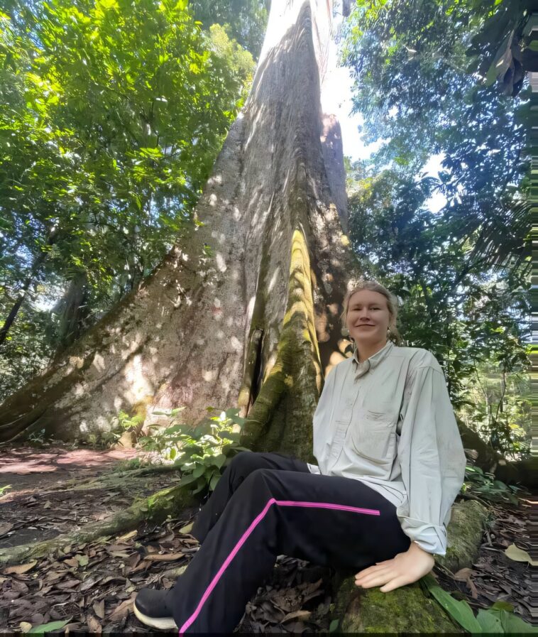 Une étude indique que la régénération forestière présente des avantages pour le climat, mais ne compensera pas les combustibles fossiles