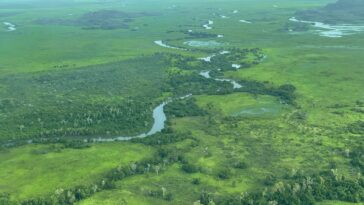 Une étude mondiale révise les émissions de gaz à effet de serre pour les eaux intérieures tropicales