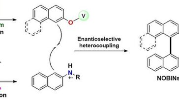 Une méthode de chimie verte combine la lumière et l’air pour construire des molécules clés pour les futurs médicaments