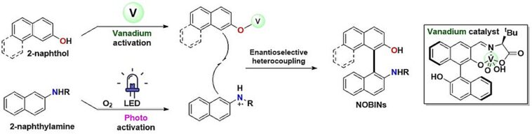 Une méthode de chimie verte combine la lumière et l’air pour construire des molécules clés pour les futurs médicaments