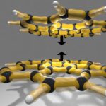 Une méthode informatique peut calculer les forces entre les grosses molécules avec une précision sans précédent Une méthode informatique peut calculer les forces entre les grosses molécules avec une précision sans précédent