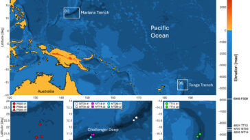 Une nouvelle méthode peut mesurer l’acidification des océans à l’aide du bruit ambiant du vent
