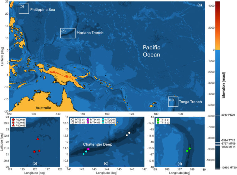 Une nouvelle méthode peut mesurer l’acidification des océans à l’aide du bruit ambiant du vent