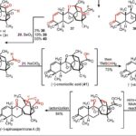 Une nouvelle stratégie moléculaire permet la synthèse complète d’un produit naturel anti-SARM