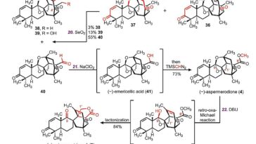 Une nouvelle stratégie moléculaire permet la synthèse complète d’un produit naturel anti-SARM