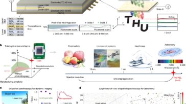 Une petite puce qui peut nous aider à voir plus profondément dans l'espace