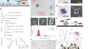 Une technique d'imagerie cartographie les intermédiaires éphémères dans l'électrocatalyse de l'hydrogène