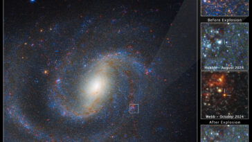 Webb dévoile une étoile condamnée qui pourrait aider à résoudre le mystère de supergiants rouges massifs manquants