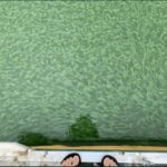 Au-delà du suspect habituel : l’azote nourrit la prolifération d’algues, selon les chercheurs