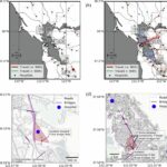 Comment un tremblement de terre majeur dans la Bay Area pourrait mettre en danger l’accès aux soins de santé