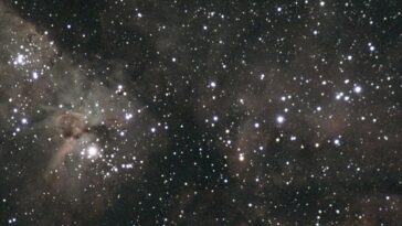 Comment virer quelqu'un au soleil ?