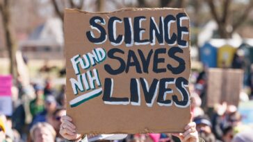 Découvrez l’ampleur alarmante des réductions de financement des NIH et de la NSF en 2025