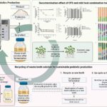 Des chercheurs recyclent les déchets de fermentation en désinfectant végétal