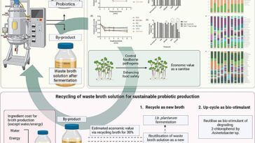 Des chercheurs recyclent les déchets de fermentation en désinfectant végétal
