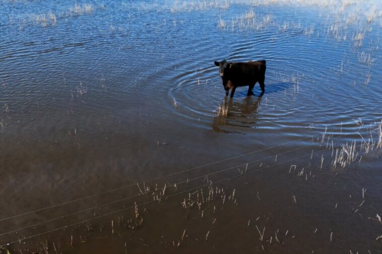 Des pluies record transforment les plaines agricoles de la Pampa argentine en zones humides