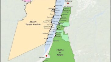 « Expulsion par suffocation » : comment l'expansion du soja et l'utilisation d'herbicides déplacent les communautés amazoniennes