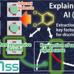 L'IA explicable révèle comment les capteurs chimiques détectent les odeurs