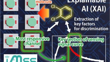 L'IA explicable révèle comment les capteurs chimiques détectent les odeurs
