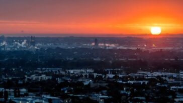 L'analyse du radiocarbone du gazon peut aider les villes à mesurer les émissions de gaz à effet de serre