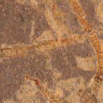 La première vie sur Terre il y a 3,3 milliards d'années révélée par de faibles biosignatures La première vie sur Terre il y a 3,3 milliards d'années révélée par de faibles biosignatures