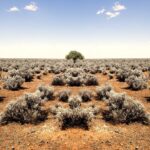 La terre est le meilleur espoir de l'Afrique en matière d'adaptation au climat : elle doit être au centre de la COP30