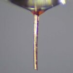 La trompe de moustique transformée en buse fine pour l'impression 3D