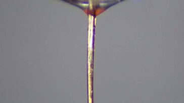 La trompe de moustique transformée en buse fine pour l'impression 3D