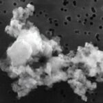 Lapins de poussière cosmique : pourquoi l’univers pourrait être plus moelleux que nous le pensions