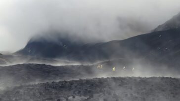 Le feu est éteint, mais Tongariro risque désormais de perdre son héritage biologique unique