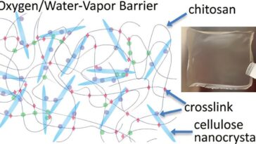Le film d'origine biologique correspond aux emballages en plastique traditionnels en bloquant l'humidité et l'oxygène