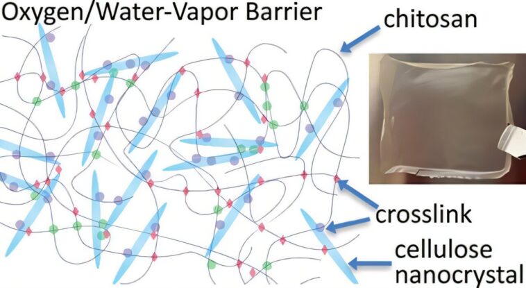 Le film d'origine biologique correspond aux emballages en plastique traditionnels en bloquant l'humidité et l'oxygène