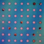 Le film polymère imperméable aux gaz promet des revêtements durables pour l'électronique, les infrastructures et les emballages