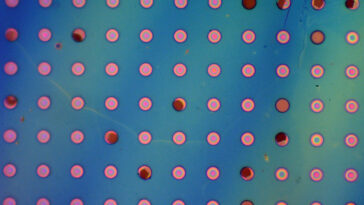 Le film polymère imperméable aux gaz promet des revêtements durables pour l'électronique, les infrastructures et les emballages