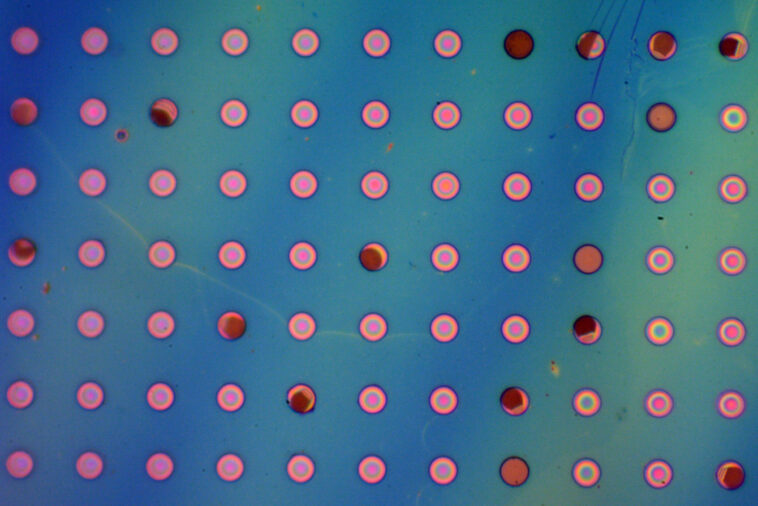 Le film polymère imperméable aux gaz promet des revêtements durables pour l'électronique, les infrastructures et les emballages