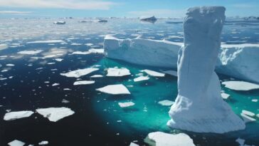 Icebergs in the Arctic