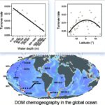 Les communautés moléculaires de matière organique dissoute changent de manière prévisible avec la distance spatiale, révèle une étude