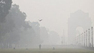 Les efforts d'ensemencement des nuages ​​de Delhi ne parviennent pas à réduire le smog et soulèvent des questions sur leur efficacité