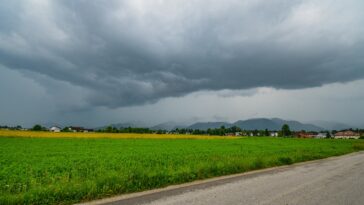 « Les incontournables de la science de la résilience » : un rapport montre comment les décideurs peuvent gérer les crises mondiales
